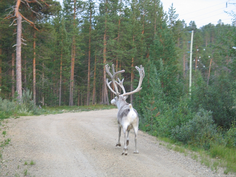Original image